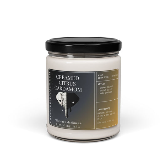 Soy Candle CREAMED CITRUS CARDAMOM • creamy coconut  • bright citrus  • warm cardamon — 9oz Spice Jar